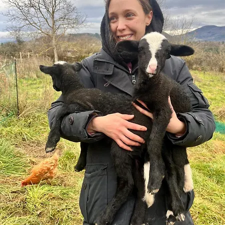De Charme Et Son Jacuzzi Et Sauna En Pleine Nature Lägenhet
