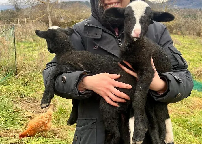 De Charme Et Son Jacuzzi En Pleine Nature شقة